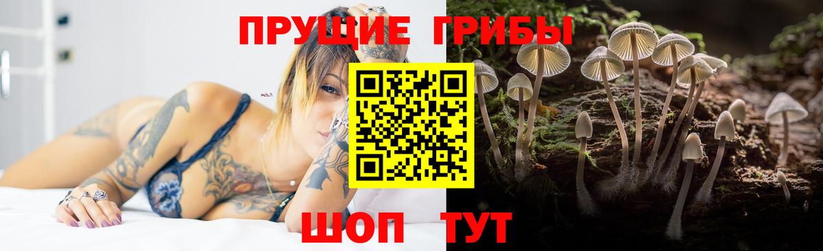 Орск  Псилоцибиновые грибы Magic Shrooms  дарнет шоп  Вход с VPN 